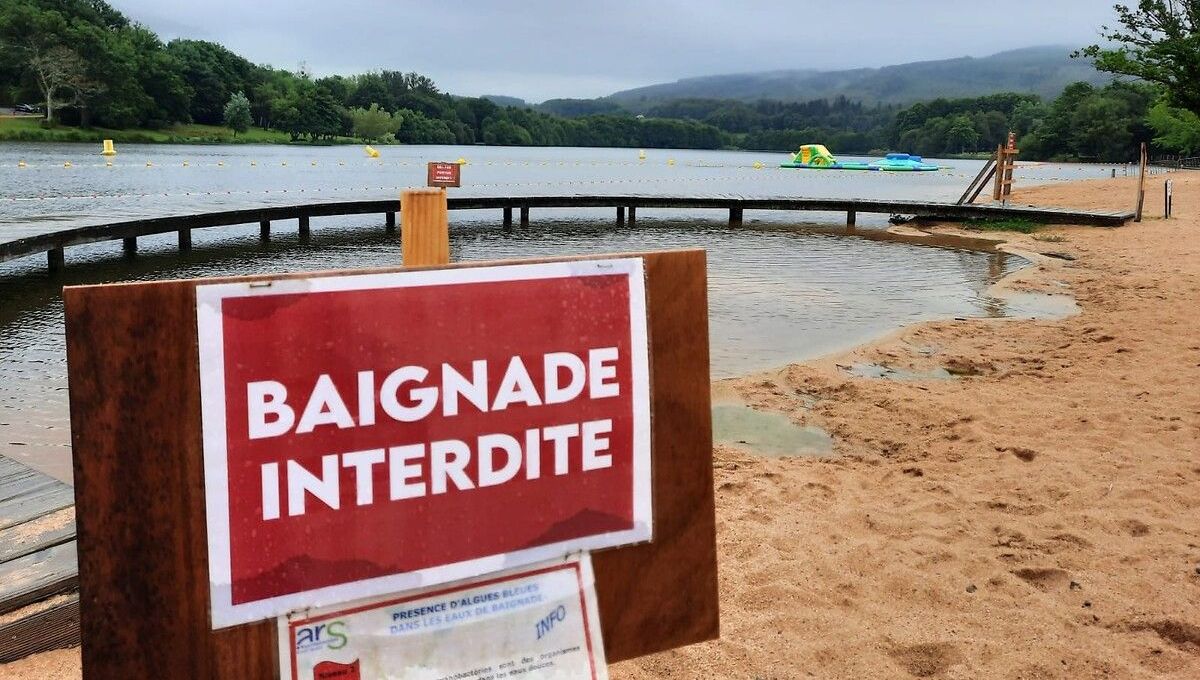 , Corrèze : de nouveaux sites de baignade fermés à cause des cyanobactéries